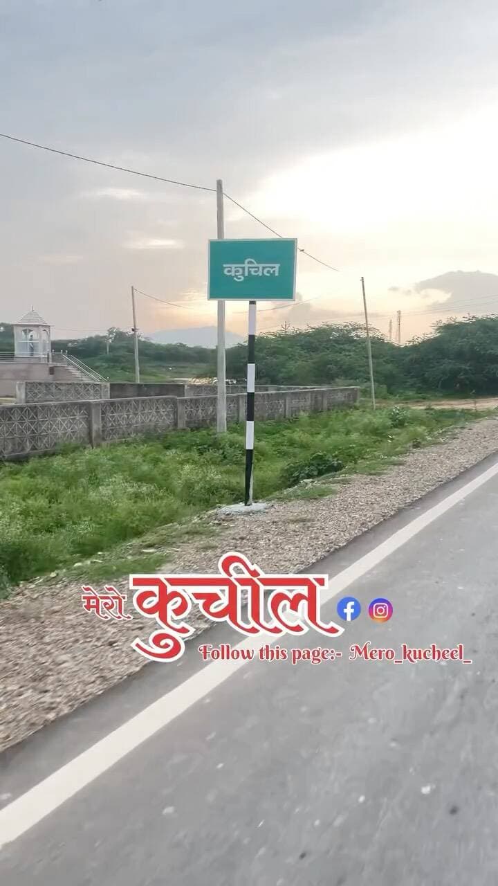 Mero_kucheel_
@mero_kucheel_
#kucheel #kishangarh_किशनगढ़ #ajmer #rajsthan #india #instamood #instagramers #igersitalia #italy #igersitalia #instafashion #illustration