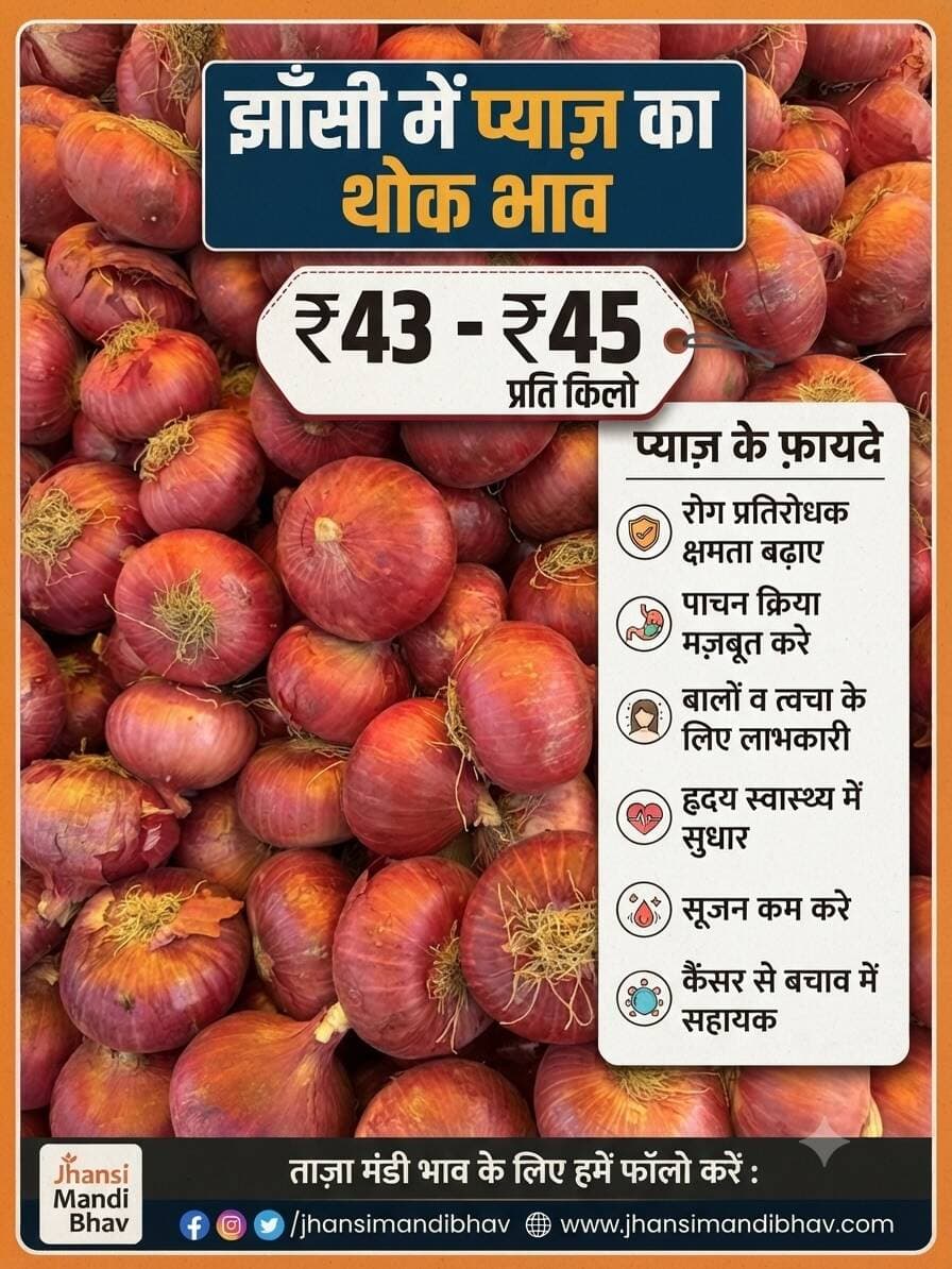 प्याज का भाव झाँसी मंडी #onion #jhansimandi #trendingpost #top #jhansi