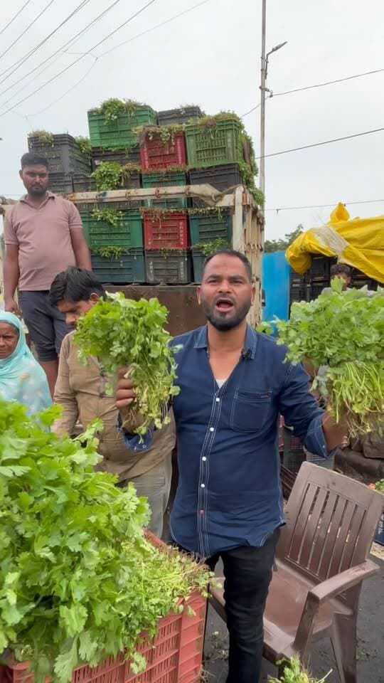 आज का धनिया टमाटर 🍅 मिर्च का भाव झाँसी #jhansi #tomato #dhaniyabhav #mandibhav #greenchile