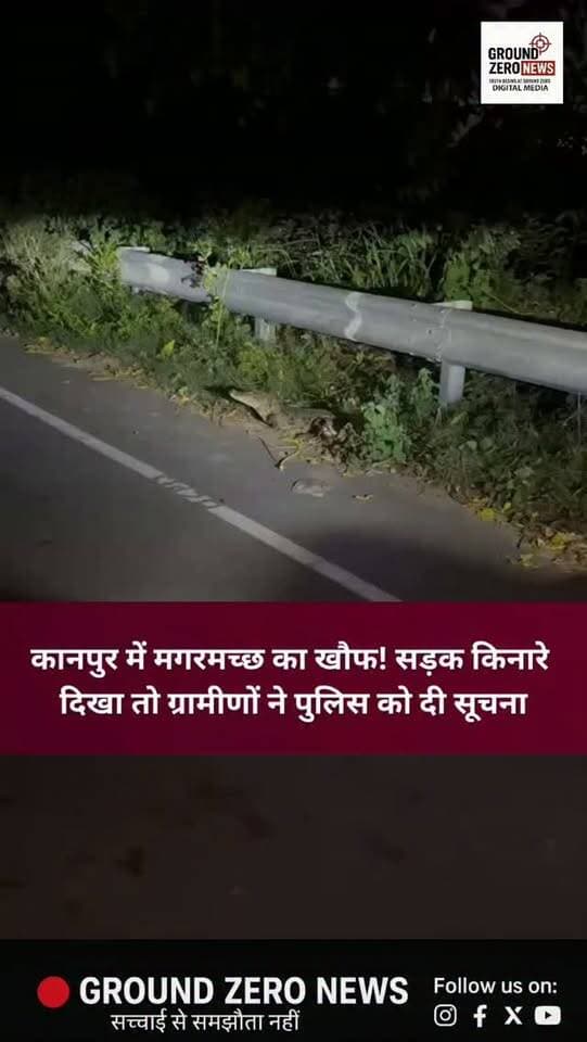 कानपुर के बिठूर थाना क्षेत्र में गंगा बैराज रोड पर रविवार रात करीब 11 बजे सड़क किनारे मगरमच्छ दिखाई देने से हड़कंप मच गया। राहगीरों ने मगरमच्छ का वीडियो बनाकर सोशल मीडिया पर वायरल कर दिया। सूचना पर पुलिस मौके पर पहुंची, लेकिन तब तक मगरमच्छ झाड़ियों में चला गया। गंगा का जलस्तर बढ़ने के बाद मगरमच्छ के आबादी के पास पहुंचने की आशंका जताई जा रही है।
#Kanpur #Bithoor #GangaBarrage #ViralVideo #GroundZeroNews