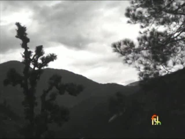 1968 की नंदा देवी राजजात — जब कैमरे ने इतिहास को कैद किया। 🏔️🙏
आज से 58 साल पहले, 1968 में आयोजित नंदा देवी राजजात यात्रा की ये दुर्लभ झलकियां हमें उस दौर के पहाड़, लोगों, परंपराओं और आस्था से रूबरू कराती हैं।
न तब आधुनिक सड़कें थीं, न आज जैसी सुविधाएं…
लेकिन मां नंदा के प्रति आस्था वही थी, जो सदियों से पहाड़ की पहचान रही है।
नौटी से हिमालय की ऊंचाइयों तक जाती यह यात्रा केवल एक धार्मिक यात्रा नहीं, बल्कि गढ़वाल की संस्कृति, लोकविश्वास और पहाड़ी जीवन का जीवंत दस्तावेज है। 1968 की राजजात उन ऐतिहासिक राजजात यात्राओं में शामिल है, जिनका उल्लेख उपलब्ध अभिलेखों में मिलता है।
🎞️ 1968 | Nanda Devi Raj Jat Yatra
📍 चमोली, गढ़वाल हिमालय
🙏 जय मां नंदा देवी