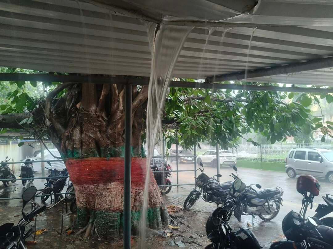 लातेहार में झमाझम बारिश