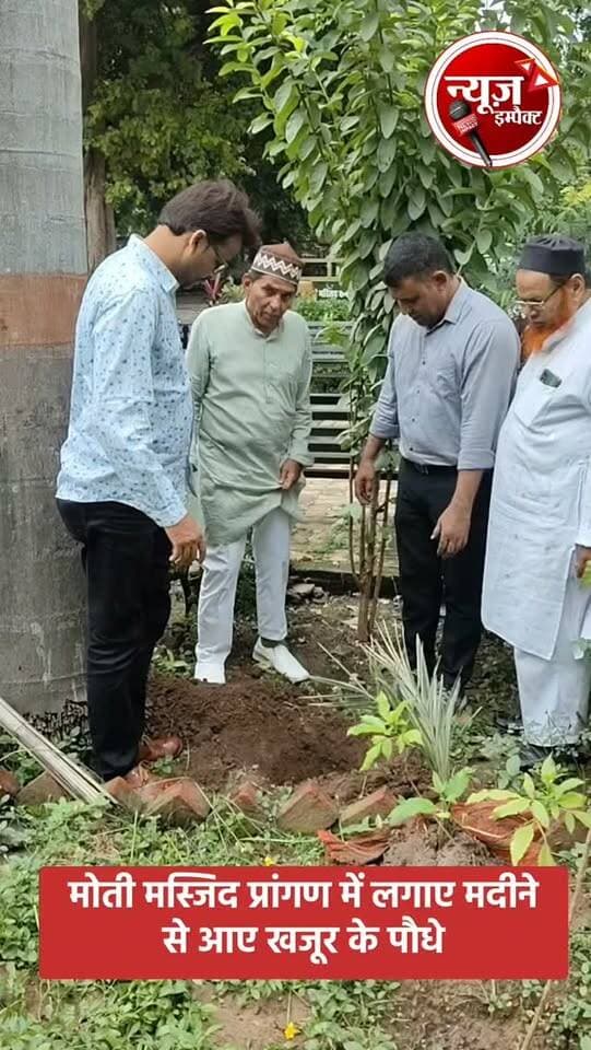 आज मोती मस्जिद प्रांगण में हज से लौटे बुजुर्गों के साथ मदीने से लाए गए खजूर के पौधे लगाने का सौभाग्य प्राप्त हुआ।
#gwalior #newsimpact