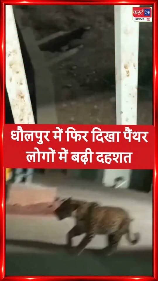 सावधान! धौलपुर की आरईसीएल फैक्ट्री में लगातार घूम रहा है पैंथर। वन विभाग की टीम लगातार निगरानी कर रही है, कृपया सतर्क रहें और सुरक्षित रहें। #Dholpur #PantherAlert #ForestDepartment #SafetyFirst #DholpurNews #RajasthanNews #breakingnews #पैंथर
@topfans
Dholpur SP
District Collector & Magistrate - Dholpur
Girraj Singh Malinga
Rohit Bohra
ShobhaRani Kushwaha
Ritesh Sharma