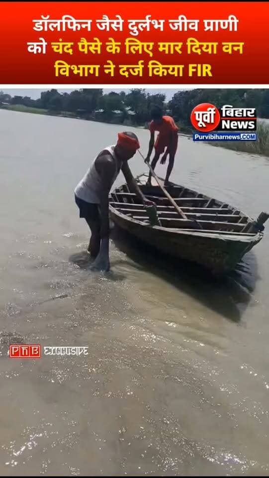 सहरसा में चंद पैसों के लिए डॉल्फिन के बच्चे को मार डालें वन विभाग ने दर्ज किया FIR