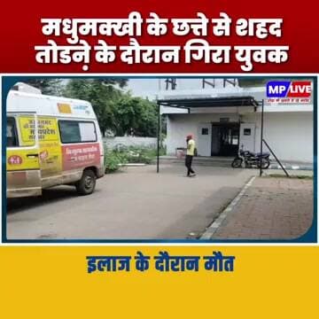 पेड़ पर चढकऱ मधुमक्खी के छत्ते से शहद तोडऩे के दौरान गिरा युवक, इलाज के दौरान मौत MP Burhanpur News