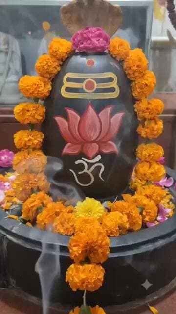 चलत कुंडलम भ्रू सुनेत्रम विशालं प्रश्ननानंम नीलकंठम दयालं #shiv #ram #kashi #viral