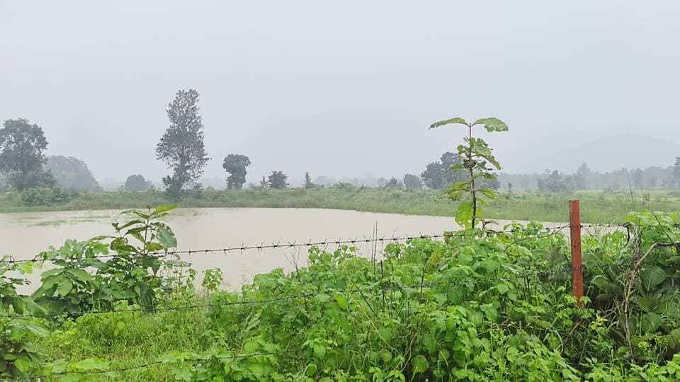 #चित्रकूट
मानिकपुर विकासखंड अंतर्गत निहि पंचायत के बरहा तालाब की जमीनी सच्चाई आई सामने
जिला पंचायत द्वारा कराए गए कार्य का सच आया सामने
ग्रामीणों ने की जांच की मांग