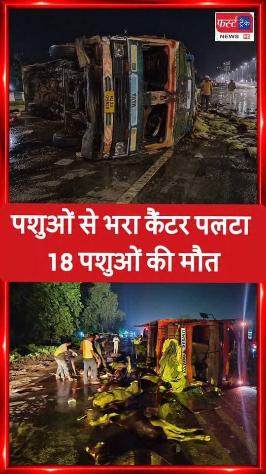 धौलपुर- पशुओं से भरा कैंटर प*लटा, 18 पशुओं की मौ**त। लगा जाम। पुलिस ने यातायात को कराया सुचारू।
#DholpurNews #RajasthanNews #RajasthanPolice #excidentnews #धौलपुर #मनियां
@topfans
Dholpur SP
Rohit Bohra
ShobhaRani Kushwaha