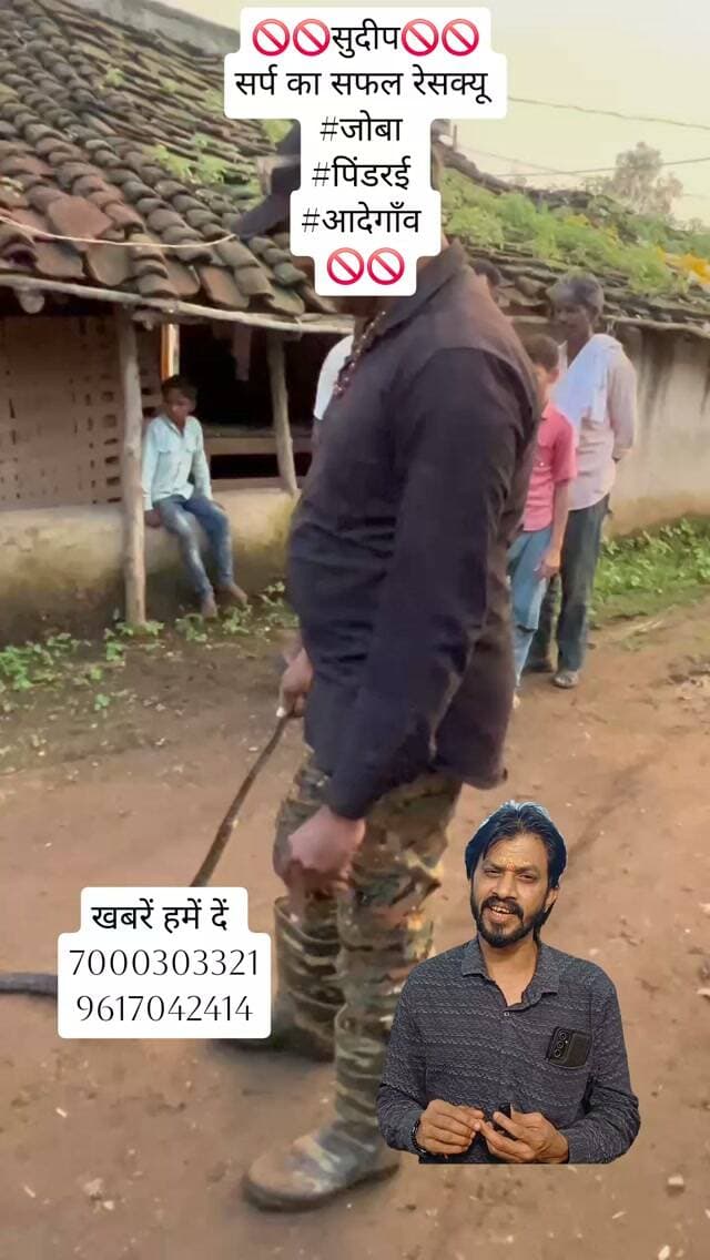 🚫🚫सुदीप🚫🚫
सर्प का सफल रेसक्यू
#जोबा
#पिंडरई
#आदेगाँव
🚫🚫#reelsinstagram #followers