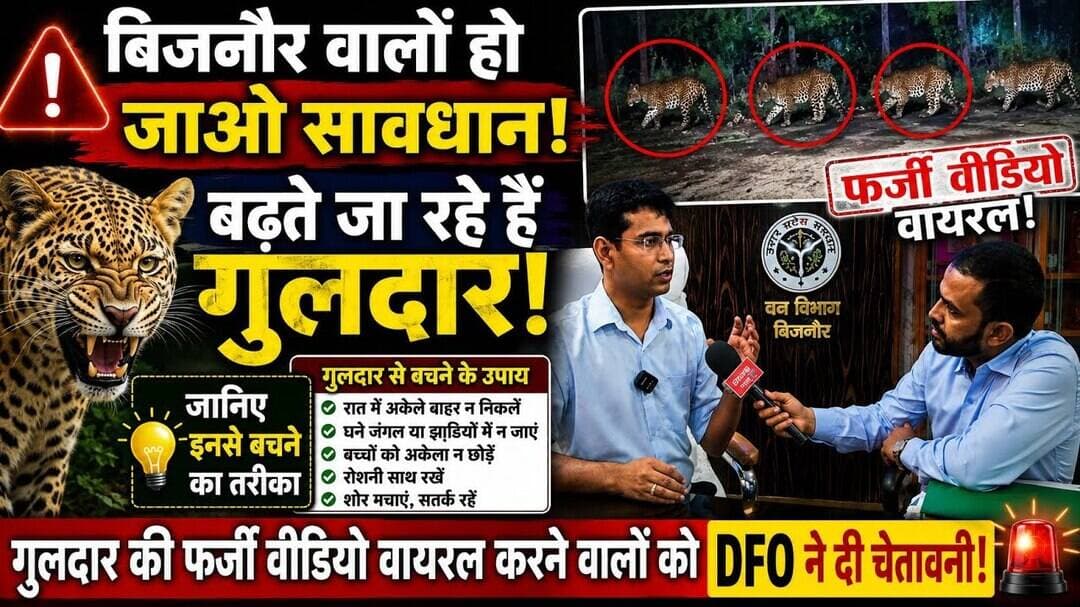 बिजनौर वालों हो जाओ सावधान बढ़ते जा रहे हैं गुलदार जानिए इनसे बचने का तरीका DFO ने दी चेतावनी ?