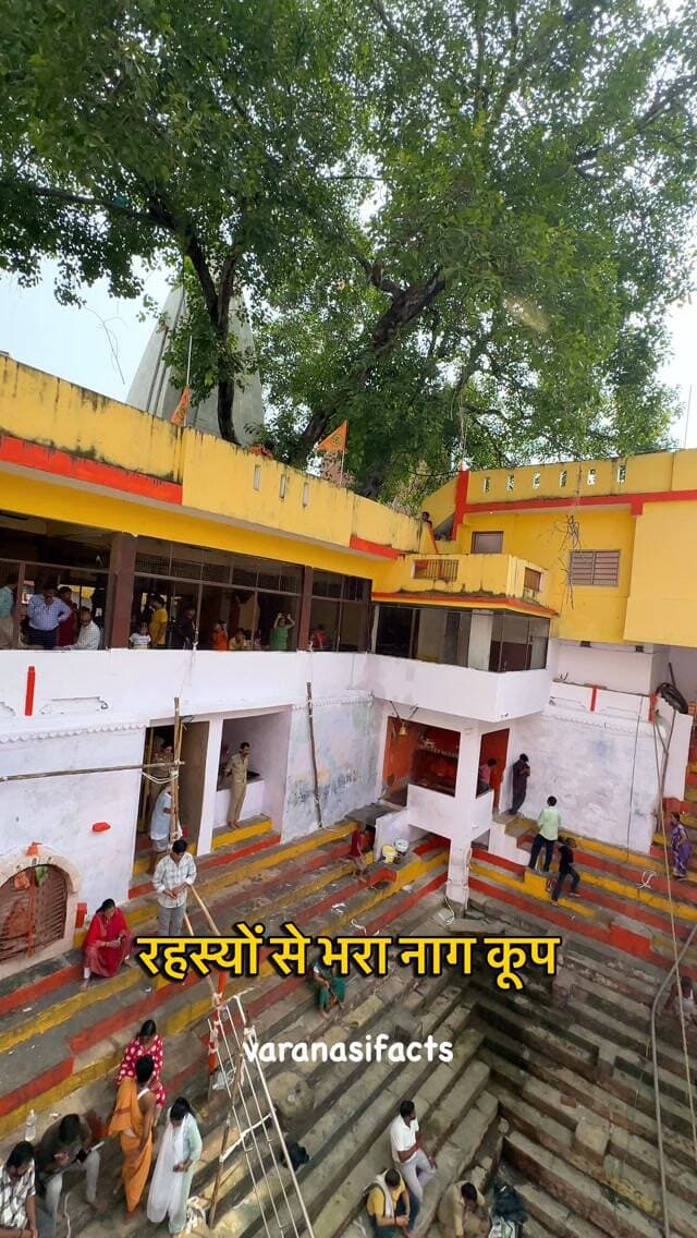 नाग कूप Naag Koop
नाग पंचमी, नाग पंचमी 2026, नाग कुआँ, नाग कूप, नागकूप, नागकुआँ मंदिर, नाग कूप मंदिर, करकोटेश्वर महादेव, करकोटक नागेश्वर महादेव, महादेव, शिव, भगवान शिव, नाग देवता, बनारस, वाराणसी, काशी, बनारस का रहस्यमयी मंदिर, वाराणसी का रहस्यमयी मंदिर, काशी का रहस्यमयी मंदिर, बनारस के छुपे मंदिर, वाराणसी के छुपे मंदिर, काशी के छुपे मंदिर, बनारस की छुपी जगह, वाराणसी की छुपी जगह, काशी की छुपी जगह, साल में एक बार खुलने वाला मंदिर, नाग पंचमी पर नाग कुआँ, नाग कुआँ का रहस्य, नाग कूप का रहस्य, जैतपुरा वाराणसी, नाग कुआँ जैतपुरा, Hidden Temple, Hidden Place, Hidden Temple in Varanasi, Hidden Places in Varanasi, Hidden Temple in Banaras, Secret Temple, Secret Place, Varanasi Temple, Banaras Temple, Kashi Temple, Ancient Temple, Ancient Temples in Varanasi, Nag Panchami, Nag Kuaan, Nag Koop, Karkoteshwar Mahadev, Mahadev, Shiva, Varanasi, Banaras, Kashi
#banaras #reels #trending #viral #varanasi