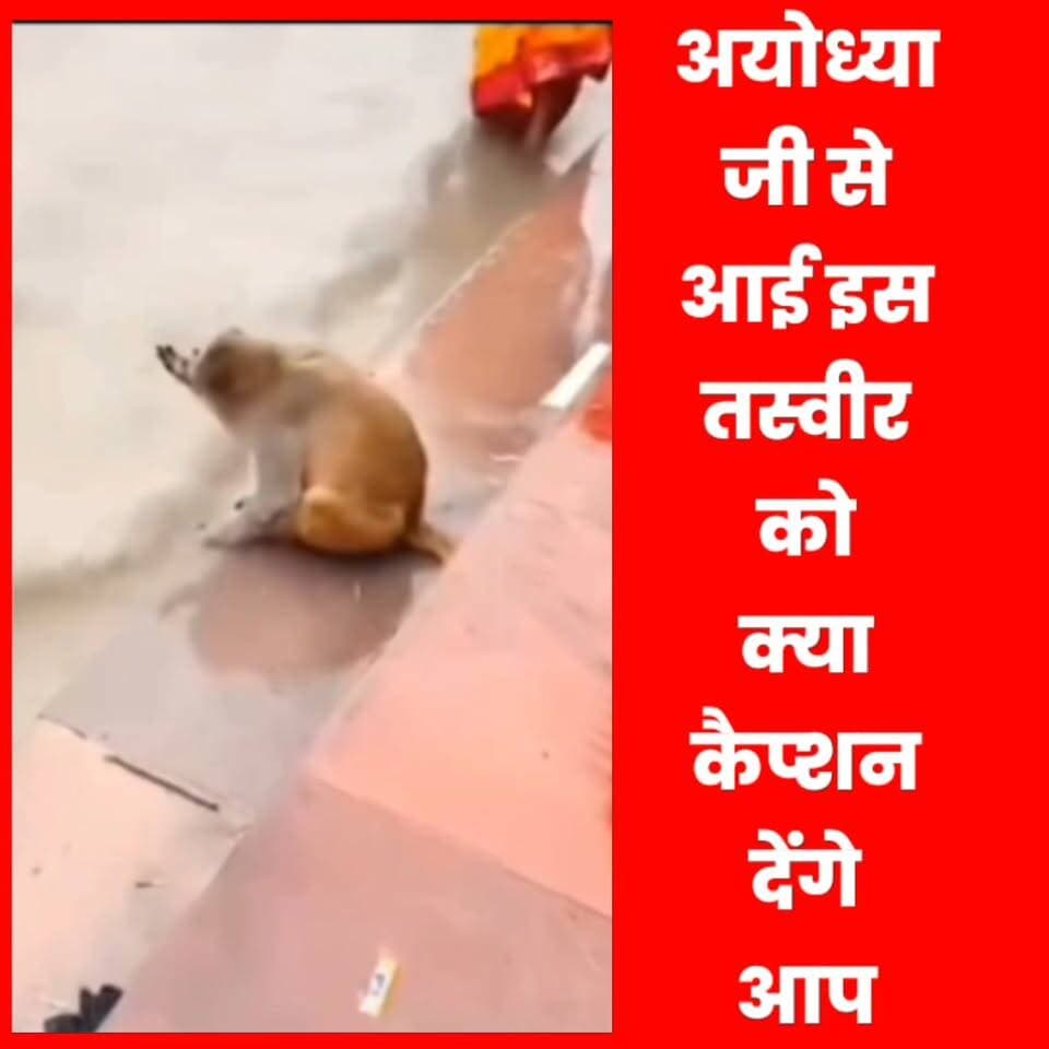 गोंडा से लगे बाराबंकी और अयोध्या जी से आई ये दो तस्वीरें