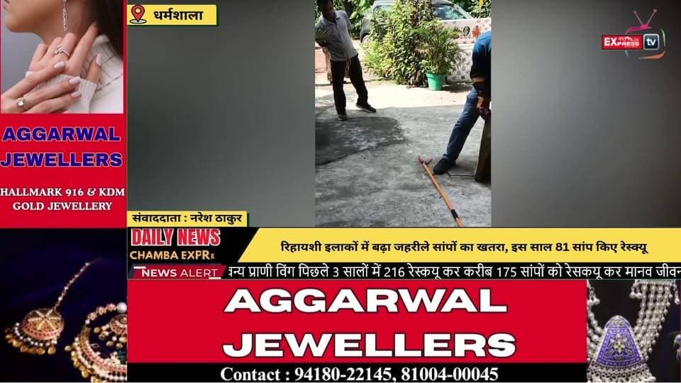 ■धर्मशाला: आरआरटी ने रेस्कयू किए कोबरा समेत 81 जहरीले सांप
3 सालों में रिहायशी ठिकानों में पाए गए 176 सांप
