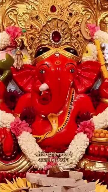 जय देव जय देव जय मंगल मूरति #ganesh #vinayak #devaodeva #trending #pujyarajivji #bappa