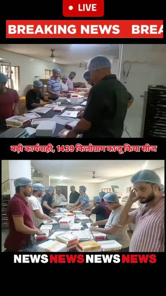 बड़ी कार्यवाही, 1439 किलोग्राम काजू किया सीज
रक्षाबंधन के अवसर पर चलाए जा रहे विशेष अभियान के तहत जिले में 1439 किलोग्राम काजू सीज किया गया।
अभिहित अधिकारी एवं मुख्य चिकित्सा एवं स्वास्थ्य अधिकारी बीकानेर डॉ. पुखराज साध ने बताया कि बुधवार को जयपुर से आए केन्द्रीय दल के खाद्य सुरक्षा अधिकारी श्री अमित शर्मा तथ जिले के खाद्य सुरक्षा अधिकारी श्री श्रवण कुमार वर्मा तथा श्री भानू प्रताप सिंह गहलोत ने बीछवाल क्षेत्र स्थित ट्रांसपोर्ट नगर में मैसर्स वीआरएल लॉजिस्टिक के गोदाम में प्राप्ति ब्रांड के काजू लेबल में कमी होने के कारण नमूना लेने के पश्चात सीज किया।
उक्त काजू मैसर्स गोपी किशन सुरेश कुमार, फड़ बाजार द्वारा मंगवाया गया था। मैसर्स रूपचंद मोहनलाल की निर्माण इकाई से गुलाबजामुन तथा खोया का नमूना लिया गया। अन्य दल के खाद्य सुरक्षा अधिकारी श्री सुरेन्द्र कुमार एवं श्री राकेश कुमार द्वारा मैसर्स श्री बीकानेर नमकीन भंडार से मीठा मावा त�