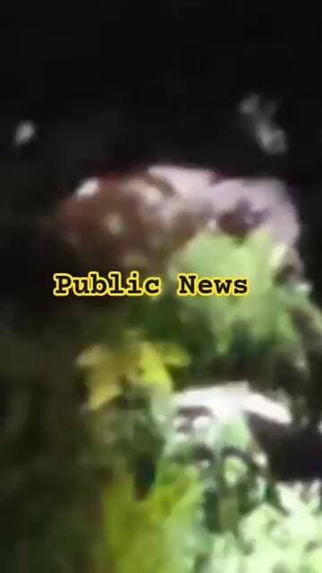 ସୁକିନ୍ଦାଗଡ଼ରେ ଜଙ୍ଗଲି ହାତୀ ଆତଙ୍କ