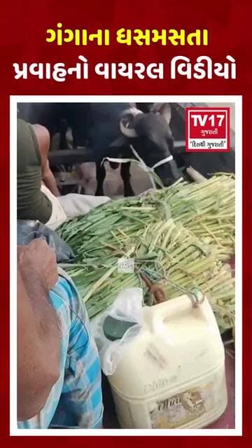 Patna Flood Alert: ગંગાના ધસમસતા પ્રવાહનો વાયરલ વિડીયો | TV17 ગુજરાતી