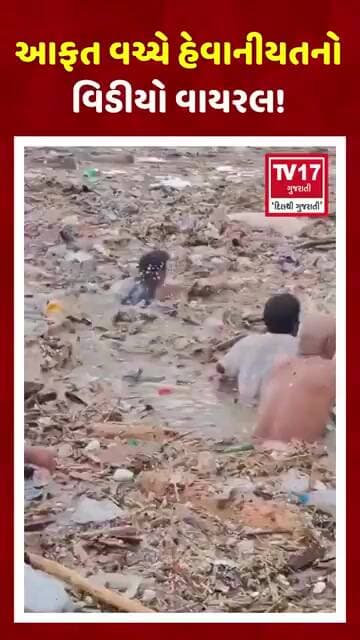 Nepal Disaster Horror: પૂરની આફતમાં પણ ના સરમાયા! સિલિન્ડર લૂંટતા લોકોનો વિડીયો વાયરલ | TV17 ગુજરાતી