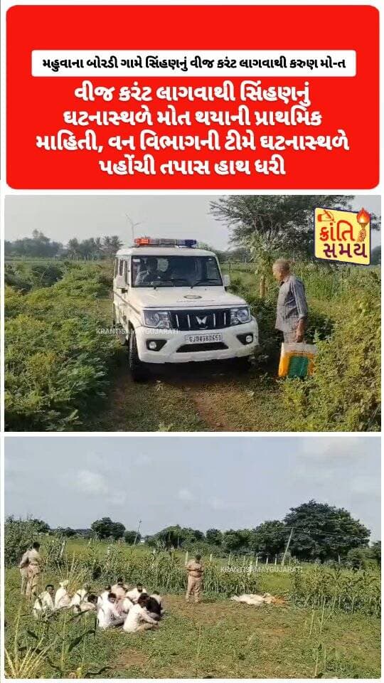 ભાવનગર | મહુવાના બોરડી ગામે સિંહણનું વીજ કરંટ લાગવાથી કરુણ મોત
વન્યજીવ રેન્જ હેઠળના વિસ્તારમાં સિંહણનો મૃતદેહ મળી આવ્યો
આજે 27 ઓગસ્ટની વહેલી સવારે ઘટના બની
વીજ કરંટ લાગવાથી સિંહણનું ઘટનાસ્થળે મોત થયાની પ્રાથમિક માહિતી
વન વિભાગની ટીમે ઘટનાસ્થળે પહોંચી તપાસ હાથ ધરી
સિંહણના મોતનું ચોક્કસ કારણ જાણવા વધુ તપાસ શરૂ
#krantisamaynews #krantisamay #gujarat #bhavnagar #mahuva