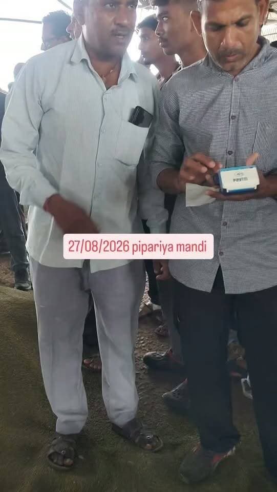 27/08/2026 pipariya mandi #viral #india #mandi #moong #pipariya