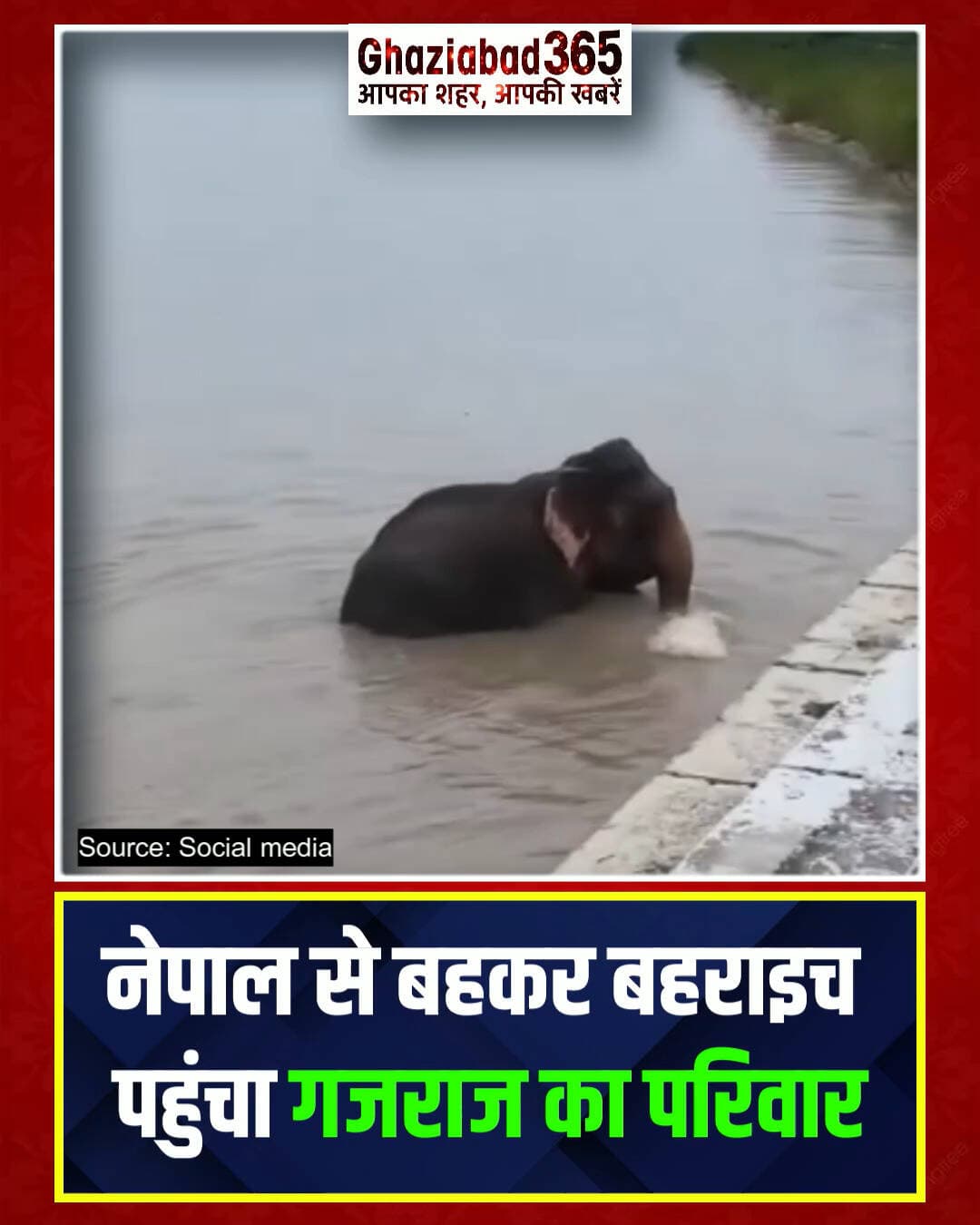 कतर्नियाघाट में नदी से बचे गजराज!
नेपाल की नदी में बहकर आए जंगली हाथियों के कुनबे को बहराइच के कतर्नियाघाट में सुरक्षित बचा लिया गया। वन विभाग की मदद से पूरा हाथियों का परिवार अब जंगल में सुरक्षित लौट चुका है।
Katarniaghat Wildlife Rescue, Bahraich Forest News, Nepal Elephant Herd Saved, UP Wildlife Rescue, Kaudiyala River Elephants, Wild Elephant Safety #prayfornepal🙏