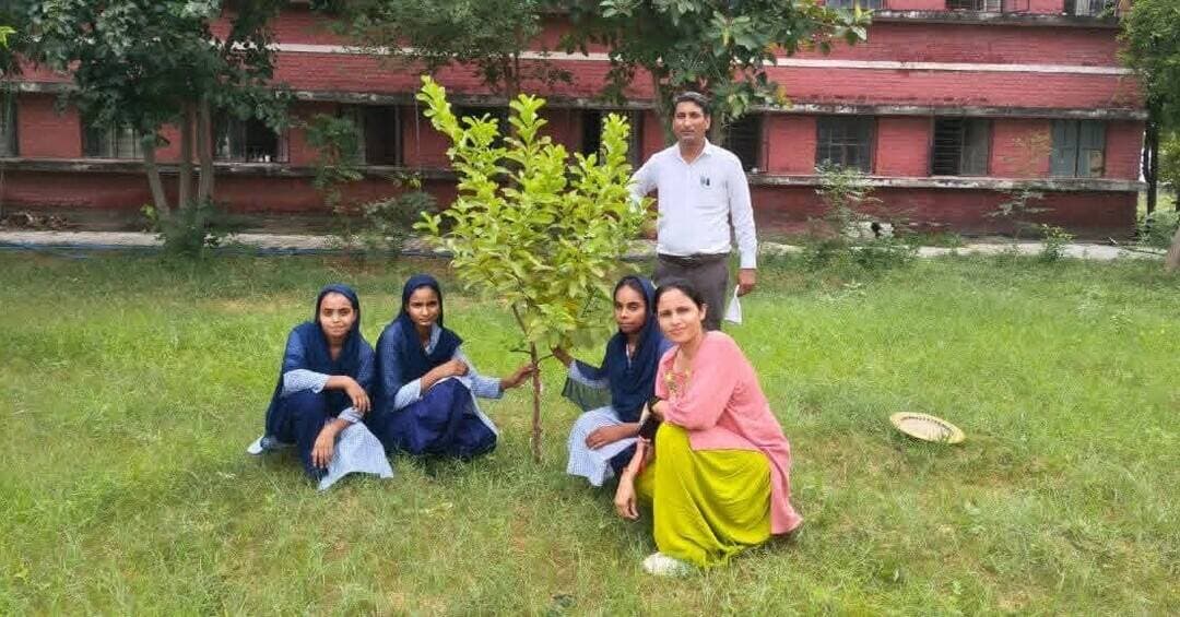 सर्व कल्याण मंच के तत्त्वावधान "एक राखी पेड़ के नाम" कार्यक्रम के तहत आरोही मॉडल वरिष्ठ माध्यमिक विद्यालय रेवासन, नूँह में बालिकाओं द्वारा पेड़ को राखी बाँधी गई।