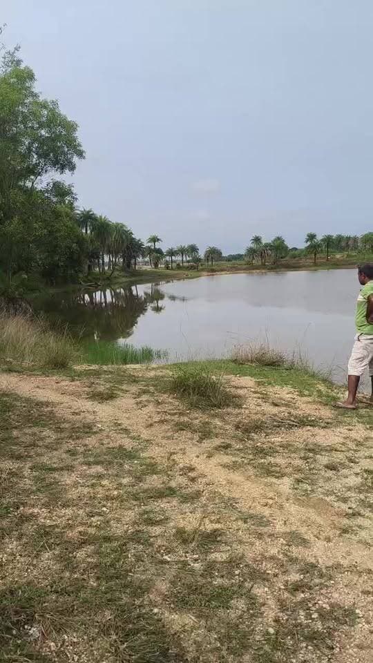 तिसरी थाना क्षेत्र के खिजुरी पंचायत अंतर्गत बिशुनपुर तालाब में मिला अज्ञात युवक का श*व। इलाके में सनसनी