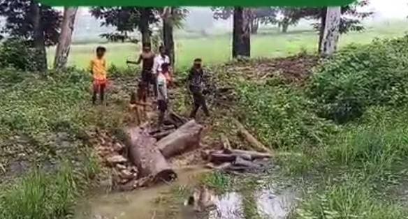 मड़िहान रेंज में धड़ल्ले से पेड़ कटान! वन विभाग की भूमिका पर उठे सवाल, ग्रामीणों ने रेंजर पर लगाया गंभीर आरोप
मड़िहान/पटेहरा। मड़िहान रेंज क्षेत्र में कथित रूप से अवैध पेड़ों की कटान का मामला सामने आया है। ग्रामीणों का आरोप है कि क्षेत्र में धड़ल्ले से पेड़ काटे जा रहे हैं और शिकायत के बावजूद वन विभाग द्वारा प्रभावी कार्रवाई नहीं की जा रही है।
ग्रामीणों के मुताबिक, शिकायत करने पर वन विभाग के जिम्मेदार अधिकारियों ने पहले कार्रवाई का आश्वासन दिया, लेकिन बाद में सिंचाई विभाग का हवाला देकर कार्रवाई से पीछे हटने का आरोप है। इसको लेकर ग्रामीणों में विभागीय कार्यप्रणाली के प्रति नाराजगी बढ़ती जा रही है।
ग्रामीणों ने वन रेंजर पर पैसे लेकर पेड़ कटवाने जैसे गंभीर आरोप लगाए हैं। वहीं, सूत्रों के हवाले से यह भी दावा किया जा रहा है कि कथित तौर पर वन विभाग के कुछ कर्मचारी प्रति पेड़ पांच हजार रुपये लेकर कटान की अनुमति दे रहे हैं।
मामला सामने आने के बाद अब सवाल उठ रहा है कि यदि पेड़ों का कटान अवैध है तो जिम्मेदार विभाग कार्रवाई क्यों नहीं कर रहा?
ग्रामीणों ने उच्चाधिकारियों से पूरे मामले की निष्पक्ष जांच कराकर दोषियों के खिलाफ कार्रवाई की मांग की है।
#BreakingNews #Mirzapur #TodayMirzapur #Madihan #Patehra #ForestDepartment #IllegalTreeCutting #MirzapurNews