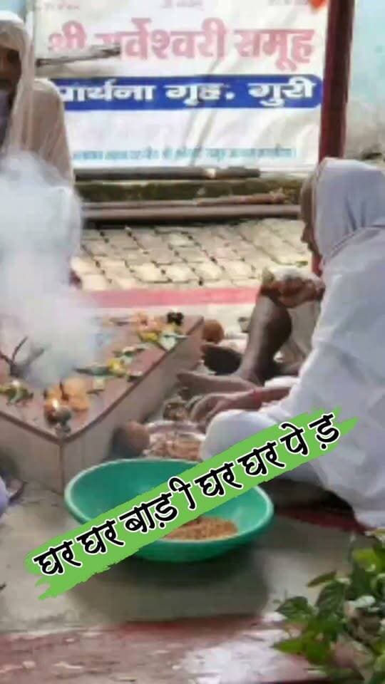 घर घर बाड़ी घर घर पेड़ अभियान के तहत श्री सर्वेश्वरी समूह द्वारा पौधारोपण #nonfollowersviewers #socialmedia #trendingpost #everyoneシ゚ #fouryouシ #highlightseveryone #fesbookpost #वायरलपोस्ट #fesbookreels #पौधारोपण #कार्यक्रम #पलामू #झारखंड