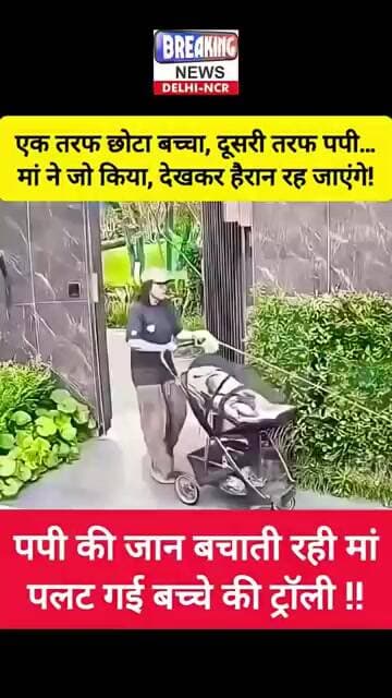 🤔 माँ पहले Baby को बचाती या पपी को !! Viral Video ने उठाया सवाल!! 🤔 #viral #trending #shorts