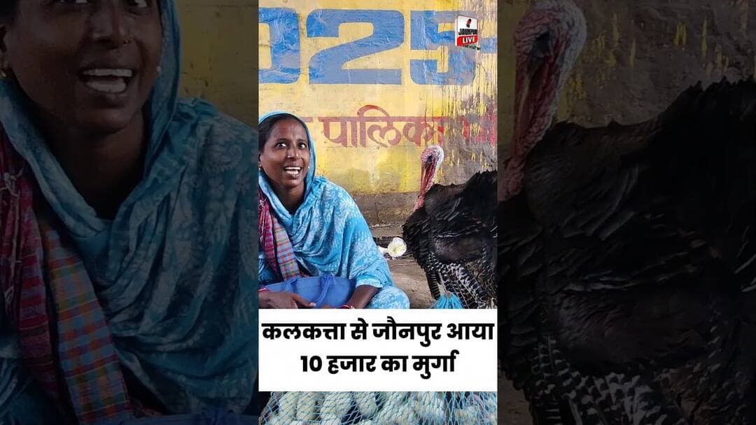 जौनपुर में 10 हजार का मुर्गा देखा क्या ? #viral #reels #trending #fyp #explorepage #Jaunpur