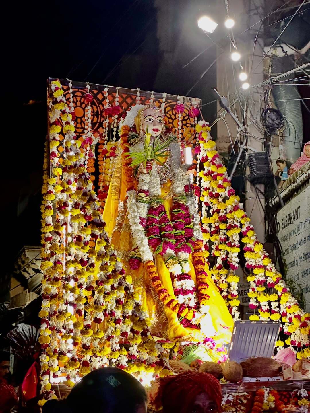 बूंदी कजली तीज माता सवारी