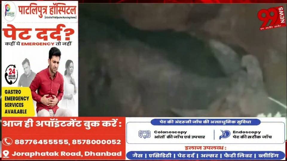 #धनबाद : #लकड़का 6 #नंबर #चानक के #पास 30 #फीट का #गोफ : #मवेशी #समाया, #रेस्क्यू कर #निकाला #बाहर