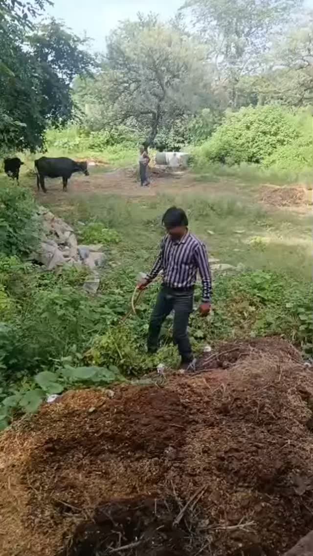 धनेतकलां के भोपाजी के कुएं में मिला धामन सांप, आज सुबह सर्प प्रेमी रमेश चंद्र ने किया सुरक्षित रेस्क्यू
खबर