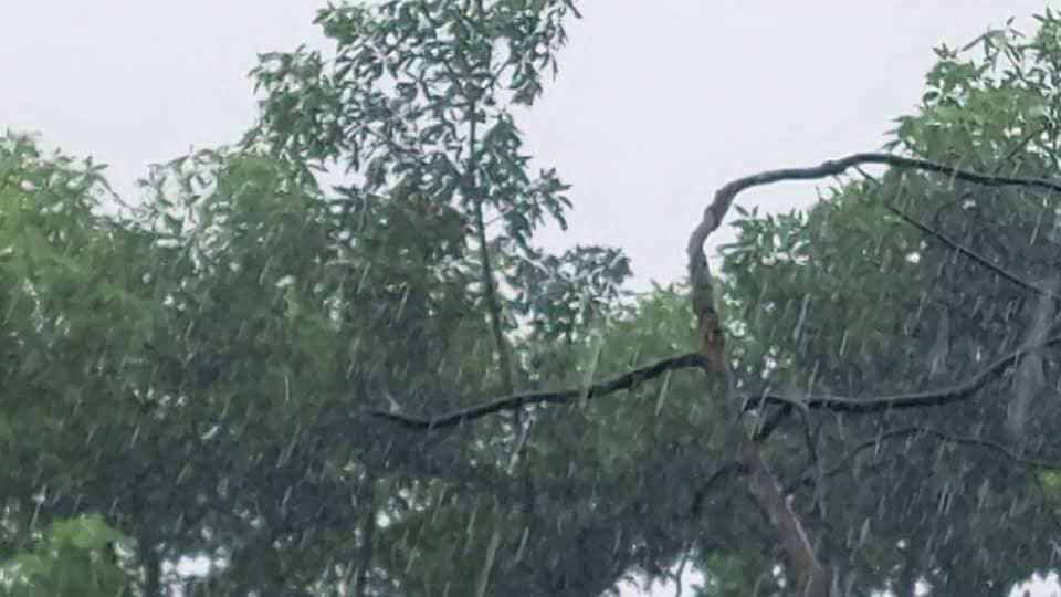 मूसलाधार बारिश शुरू,उमस भरी गर्मी से राहत