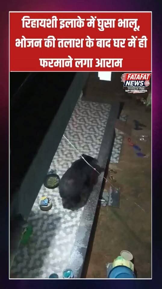 छत्तीसगढ़ के कांकेर जिले के गोविंदपुर इलाके में भालुओं की बढ़ती सक्रियता से दहशत का माहौल है। अंधेरा ढलते ही भोजन की तलाश में निकले जंगली भालू अक्सर रिहायशी बस्तियों का रुख कर रहे हैं और कई घरों के दरवाजों को भी नुकसान पहुंचा चुके हैं। बीती रात उस वक्त हड़कंप मच गया जब एक भालू सीधे एक घर के भीतर दाखिल हो गया।
घर में घुसकर काफी देर तक खाने-पीने की चीजें तलाशने के बाद भालू वहीं इत्मीनान से आराम फरमाता नजर आया। जब तक वह अंदर मौजूद रहा, परिवार के सभी सदस्य डर के साए में एक कोने में दुबके रहे। इसी बीच परिजनों ने खिड़की-ओट से भालू का यह हैरान कर देने वाला वीडियो बना लिया, जो अब सोशल मीडिया पर तेजी से वायरल हो रहा है।
#Kanker #ChhattisgarhNews #WildlifeEncounter #BearVideoViral #BreakingNews #Govindpur #ViralVideo #FatafatNews