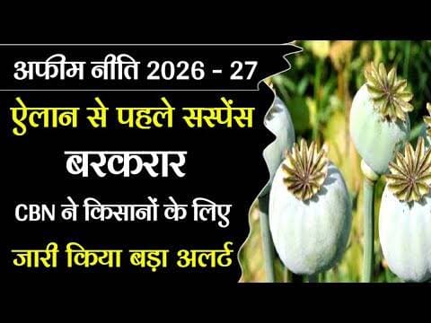 अफीम नीति 2026-27 | ऐलान से पहले सस्पेंस बरकरार | CBN ने किसानों के लिए जारी किया बड़ा अलर्ट #afim