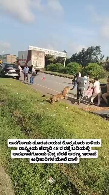 ಆನಗೋಡು ಬಳಿ ಅರಣ್ಯ ಇಲಾಖೆ ಸಿಬ್ಬಂದಿ ಮೇಲೆ ಚಿರತೆ ದಾಳಿ #viral #viralvideo #cheetah #davanagere