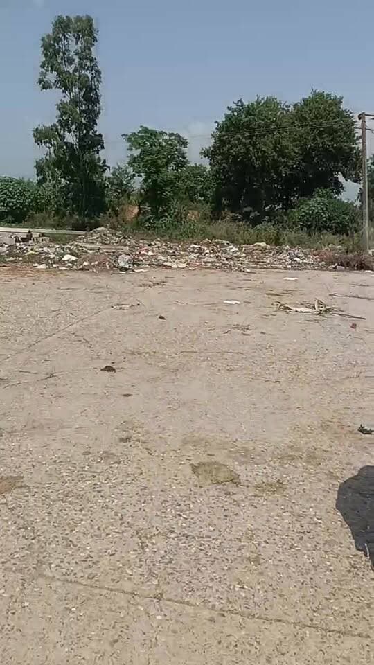 #समस्या को सुनते ही तुरंत #प्रभाव से लिया अनाज मंडी का #जायजा