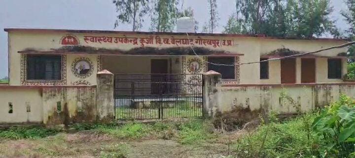 जिस अस्पताल में इलाज होना था, वही खुद इलाज मांग रहा! झाड़ियों ने घेरा स्वास्थ्य उपकेंद्र, सांपों की ‘ड्यूटी’ से ग्रामीण परेशान
बेलघाट गोरखपुर