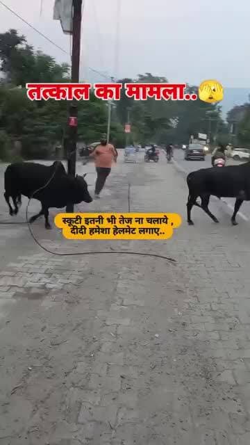 हेलमेट न लगाने का नतीजा हमेशा हेलमेट लगा कर निकले घर से जब भी बाहर बाइक या स्कूटी से निकले तो
#helmet #yatapitachalleng