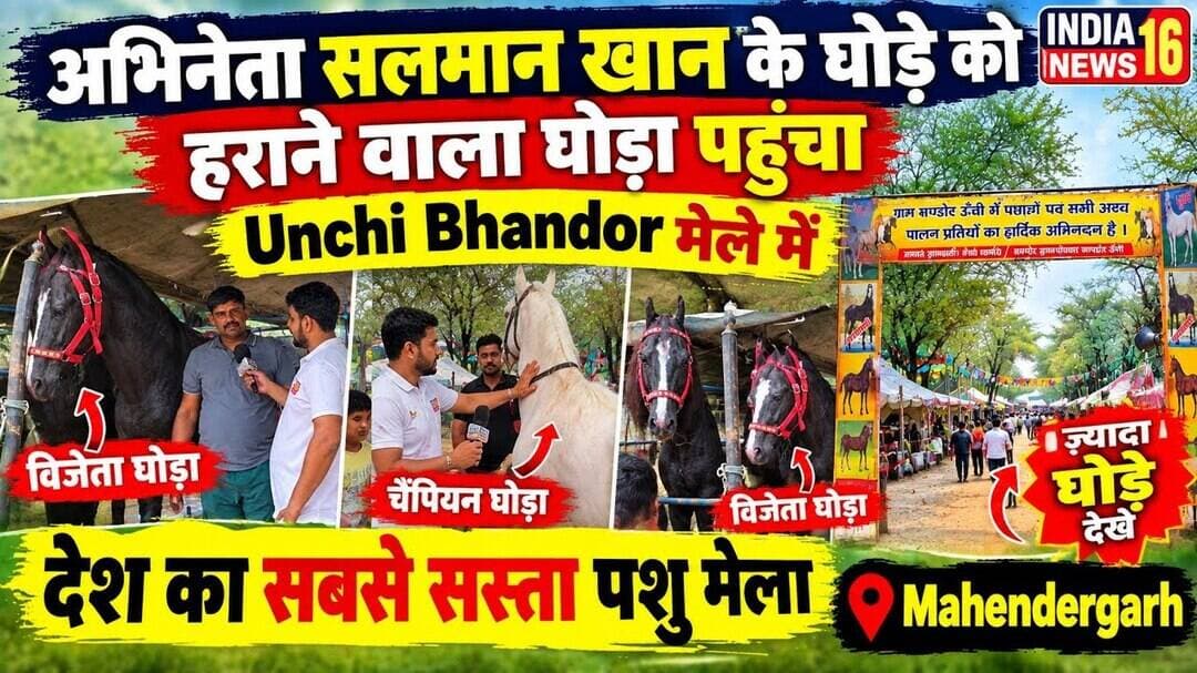 अभिनेता सलमान खान के घोड़े को हराने वाला घोड़ा पहुचा #UnchiBhandor मेले में #Mahendergarh #ashvmela