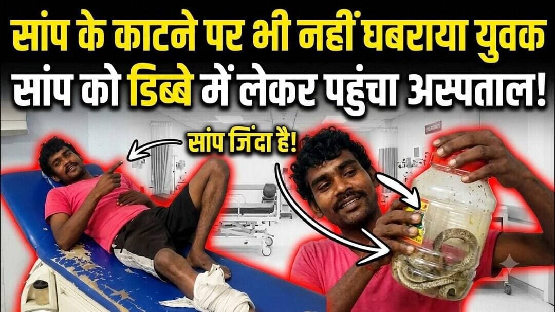 #सांप_को_डिब्बे_में_बंद_किया #सांप_लेकर_अस्पताल #सांप_के_काटने_की_घटना #वायरल_न्यूज #अजब_गजब