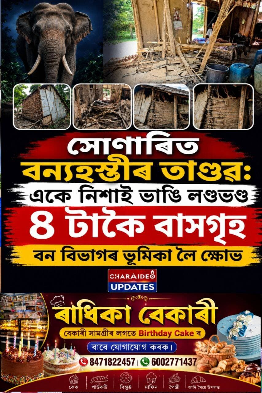 ♦️সোণাৰিত বন্যহস্তীৰ তাণ্ডৱ: একে নিশাই ভাঙি লণ্ডভণ্ড ৪ টাকৈ বাসগৃহ, বন বিভাগৰ ভূমিকা লৈ ক্ষোভ।