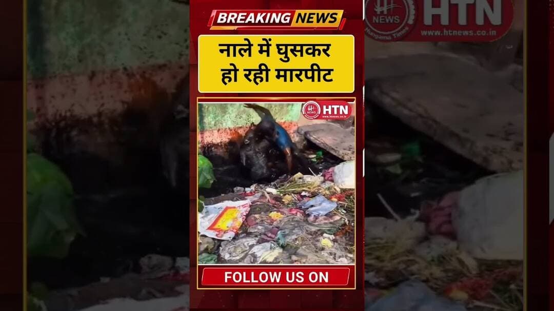 नाले में घुसकर हो रही मारपीट वीडियो वायरल #viralvideo ll Hungama Times