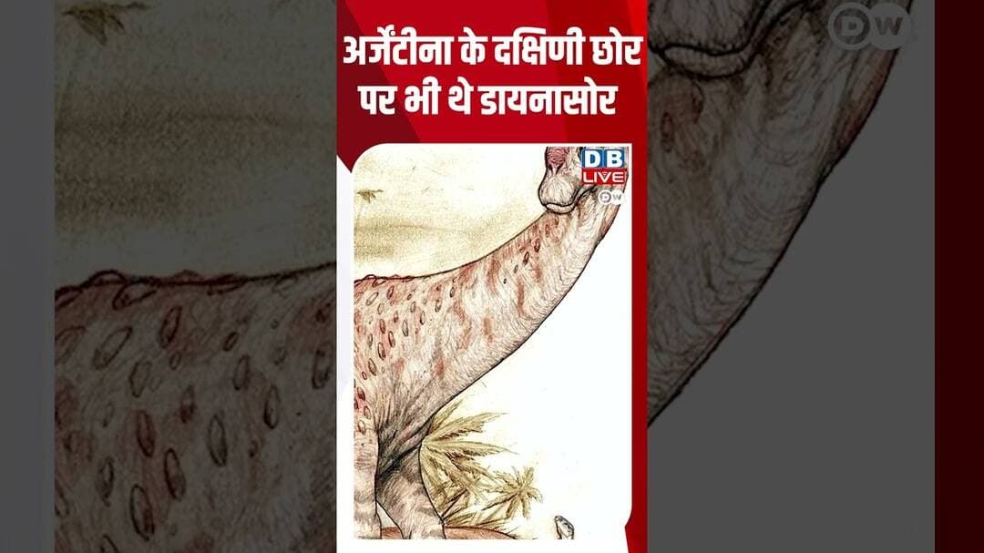 अर्जेंटीना के दक्षिणी छोर पर भी थे डायनासोर #dwhindinews #TitanosaurFossil #prehistoric