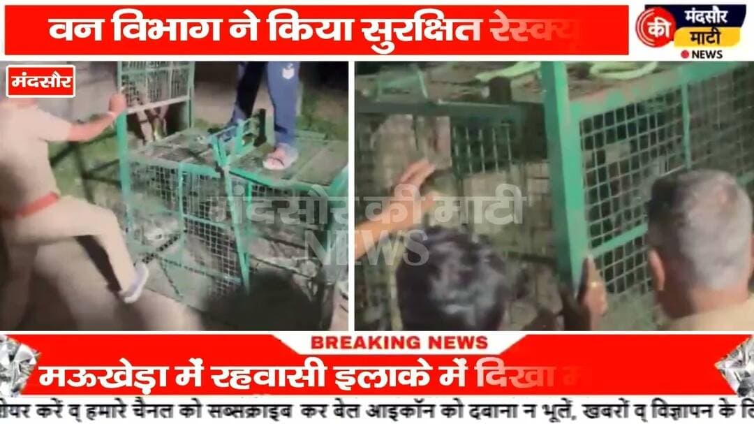 #सीतामऊ के मऊखेड़ा में कॉलोनी में घुसा मगरमच्छ मचा हड़कंप