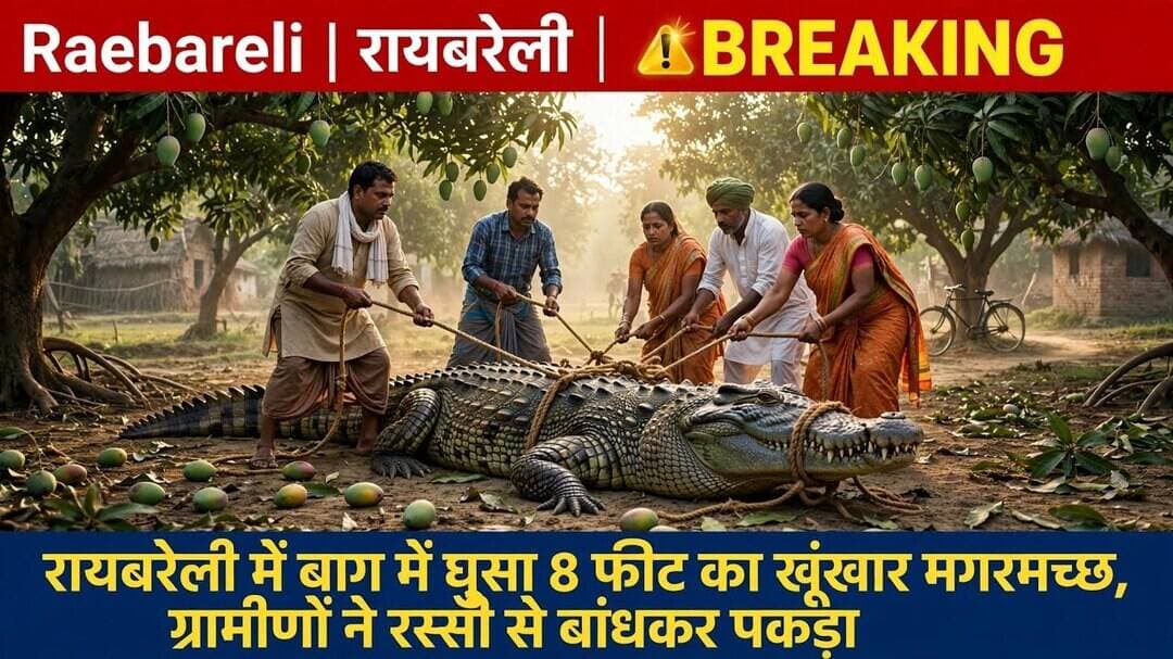 #रायबरेली_न्यूज #जढैया_गांव #बाग_में_मगरमच्छ #विशालकाय_मगरमच्छ #ग्रामीणों_ने_किया_रेस्क्यू #वन_विभाग