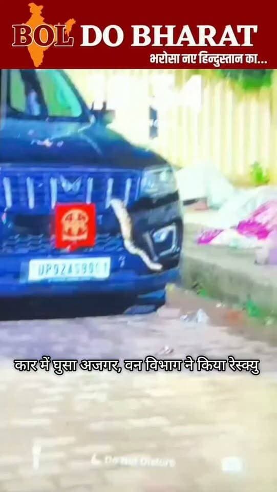 उरई में कपड़ा व्यापारी की कार में घुसा अजगर, वन विभाग की टीम ने किया रेस्क्यू
अंकुर श्रीवास्तव ✍️
उरई (जालौन)। उरई कोतवाली क्षेत्र के स्टेशन रोड पर उस समय हड़कंप मच गया, जब कपड़ा व्यापारी शिवम लालवानी की कार में एक अजगर घुस गया। बताया जा रहा है कि रात के अंधेरे में अजगर कार के अंदर पहुंच गया था। सुबह कार में अजगर होने की जानकारी मिलने के बाद मौके पर लोगों की भीड़ जुट गई। सूचना पर वन विभाग की टीम मौके पर पहुंची और काफी मशक्कत के बाद अजगर को कार से सुरक्षित बाहर निकालकर उसका रेस्क्यू किया। अजगर के कार में घुसने से आसपास के लोगों में भी दहशत का माहौल रहा। वन विभाग की टीम द्वारा रेस्क्यू किए जाने के बाद लोगों ने राहत की सांस ली।
#orai #jalaun #boldobharat